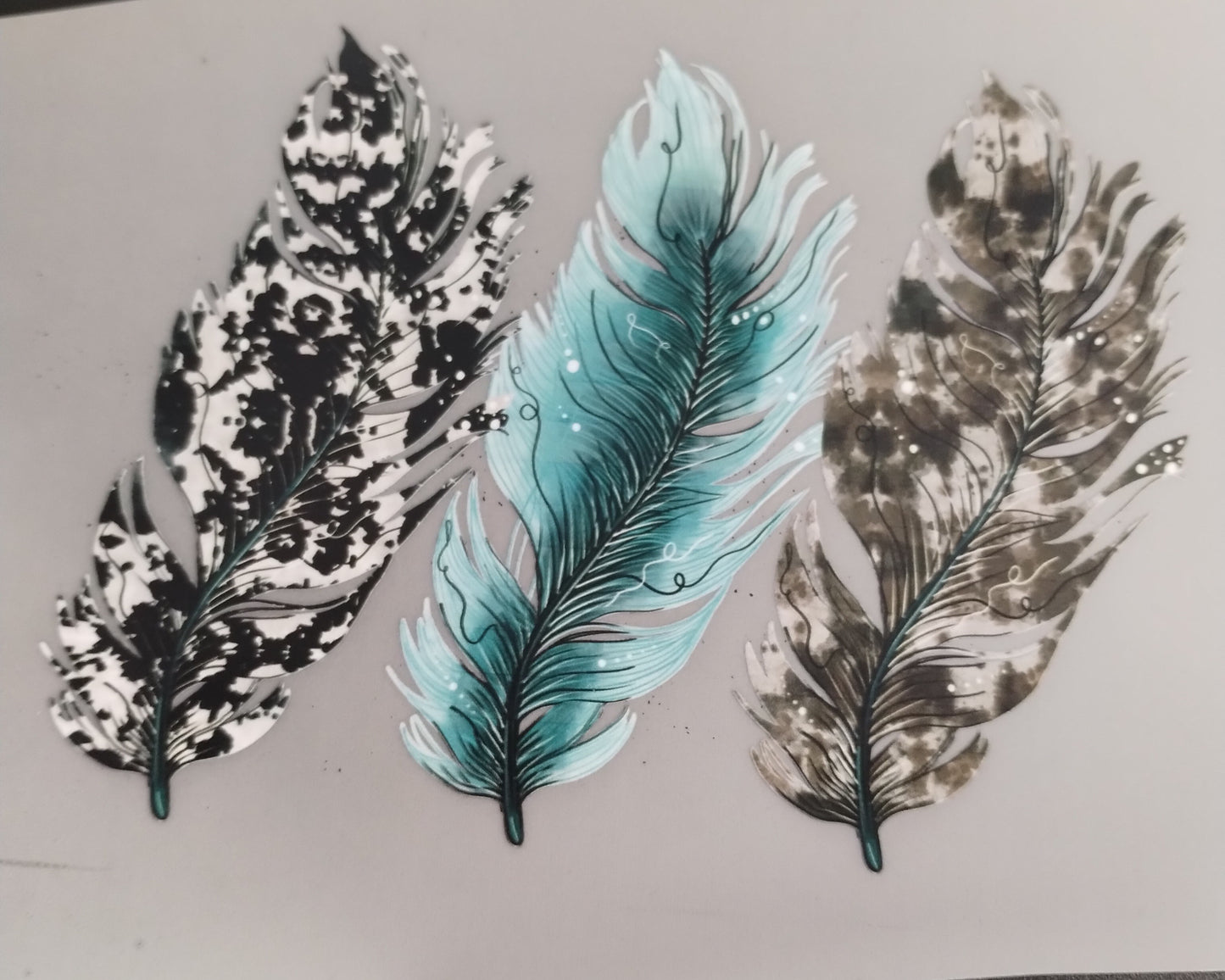 Feathers Transfer