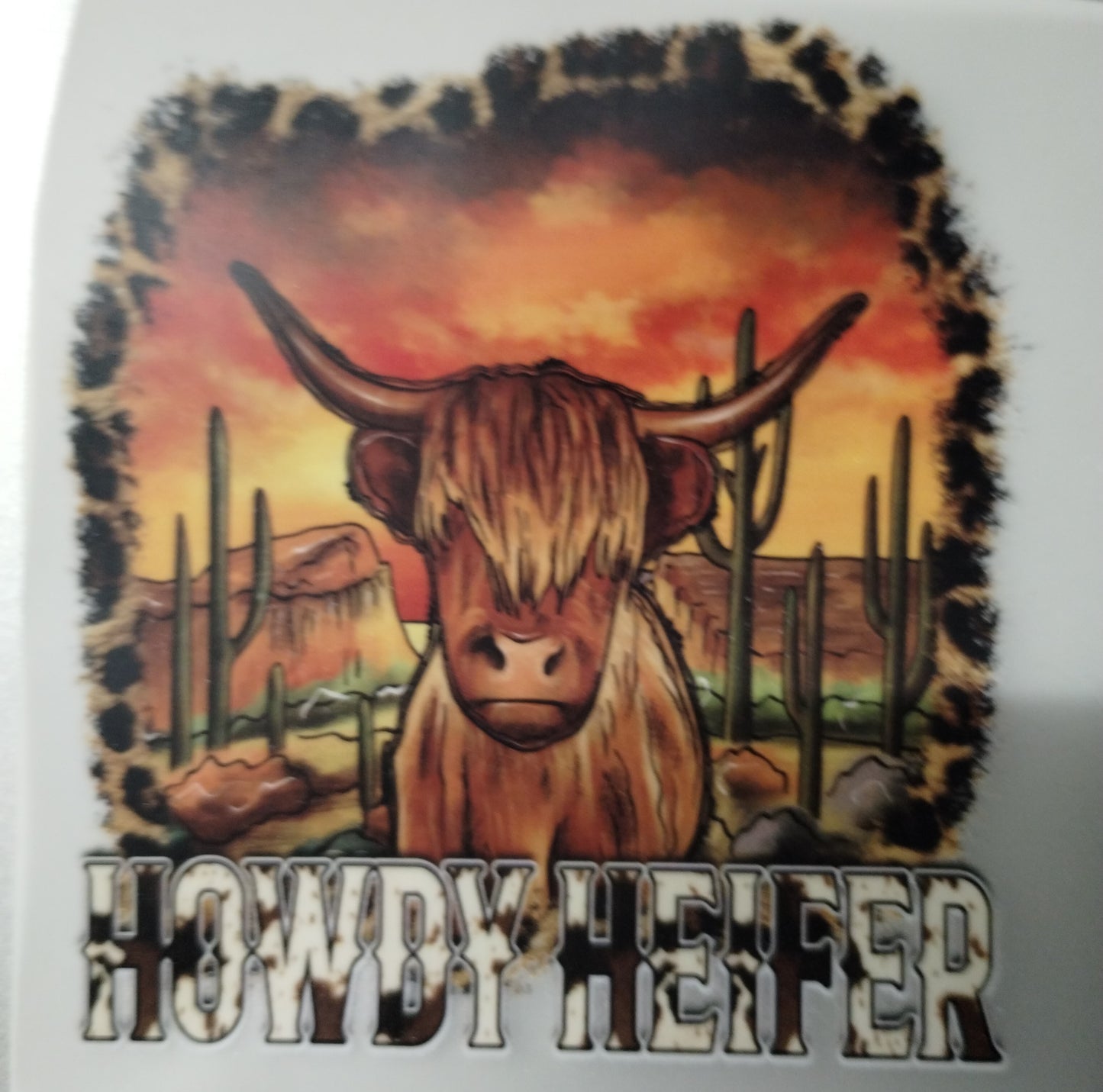 Howdy Heifer Transfer